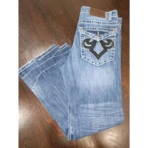 CJ‎ Black Mens Size29x30 Dark Wash Straight Leg Low Rise Embroidered Jeans